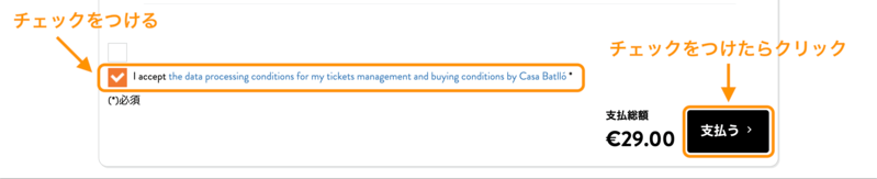 利用規約のチェックボックスと「支払う」ボタン